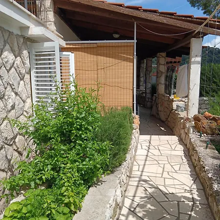 Apartment Dragana *