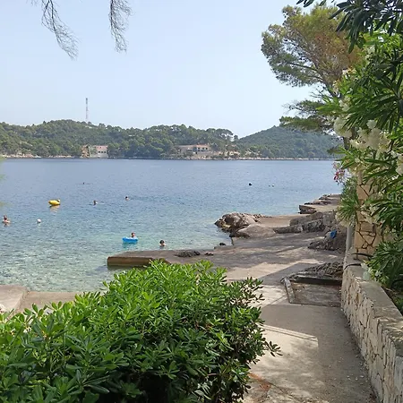 Dragana Babino Polje